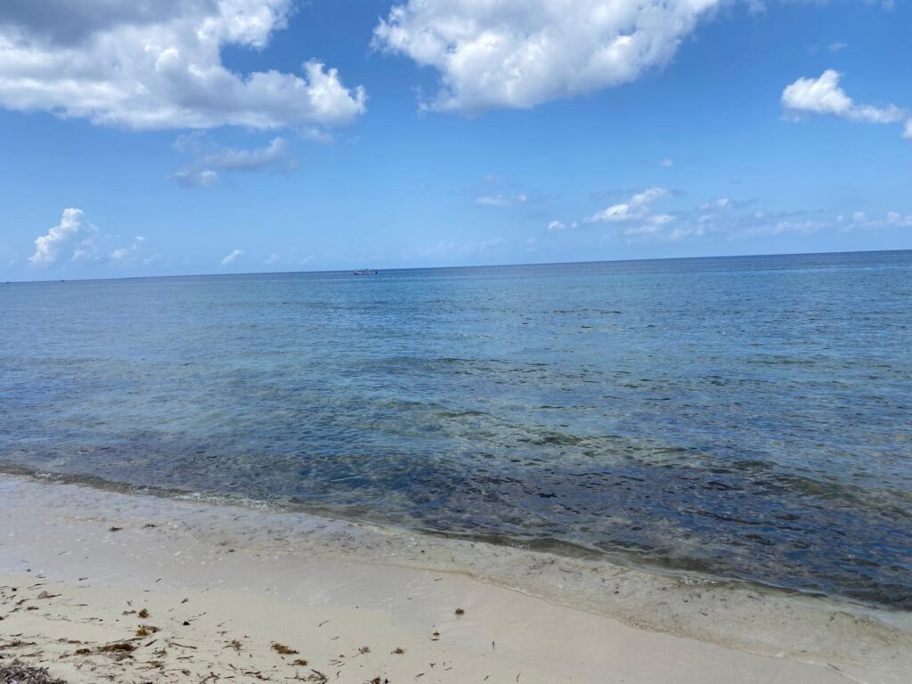 Lote 1 en la playa Palancar.