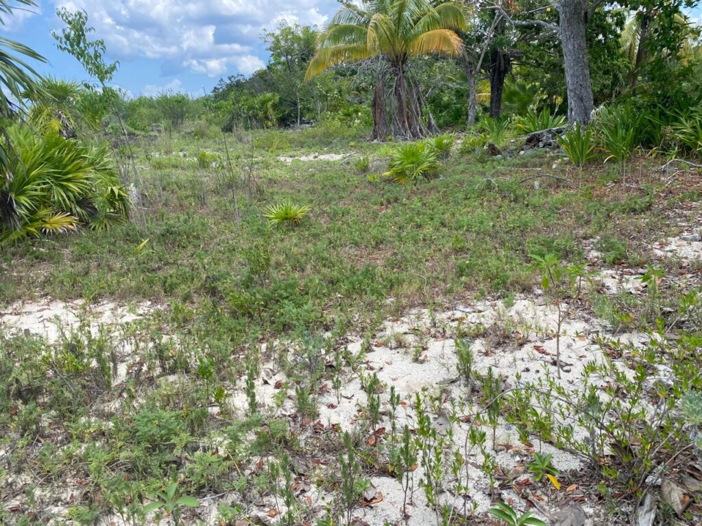 Lote 9 de playa en Palancar.