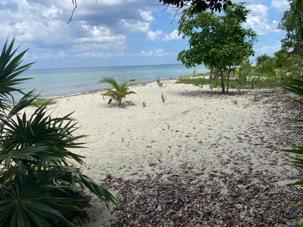 Lote 2 en la playa Palancar.