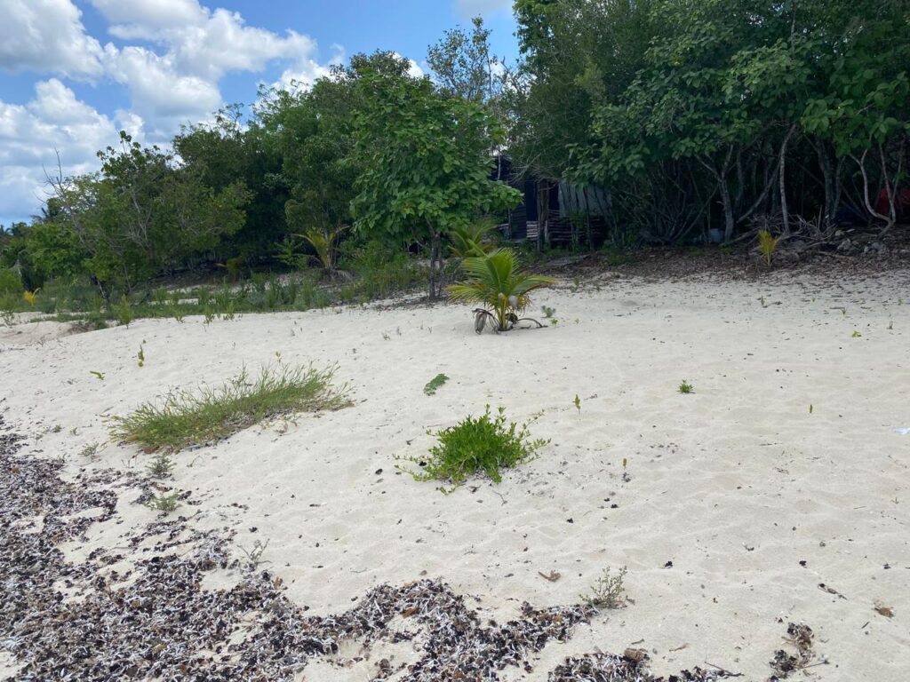 Lote 3 de playa Palancar.