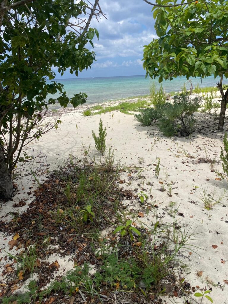 Lote 8 de playa en Palancar.